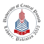 University_of_Central_Punjab__logo_-removebg-preview